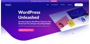 Trọn bộ Divi Theme và Plugin Lifetime có key