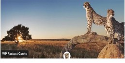 WP Fastest Cache Premium