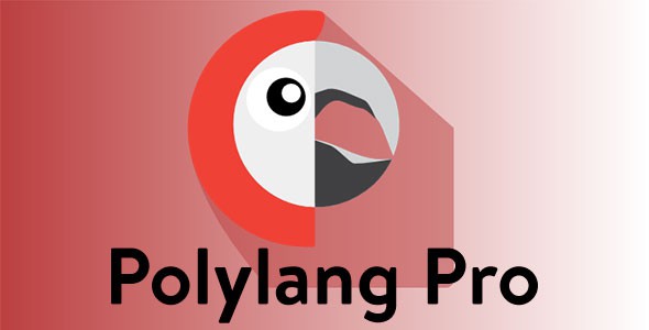Polylang Pro plugin hỗ trợ web đa ngôn ngữ nhẹ số 1